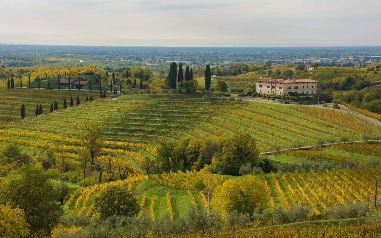 Gravner