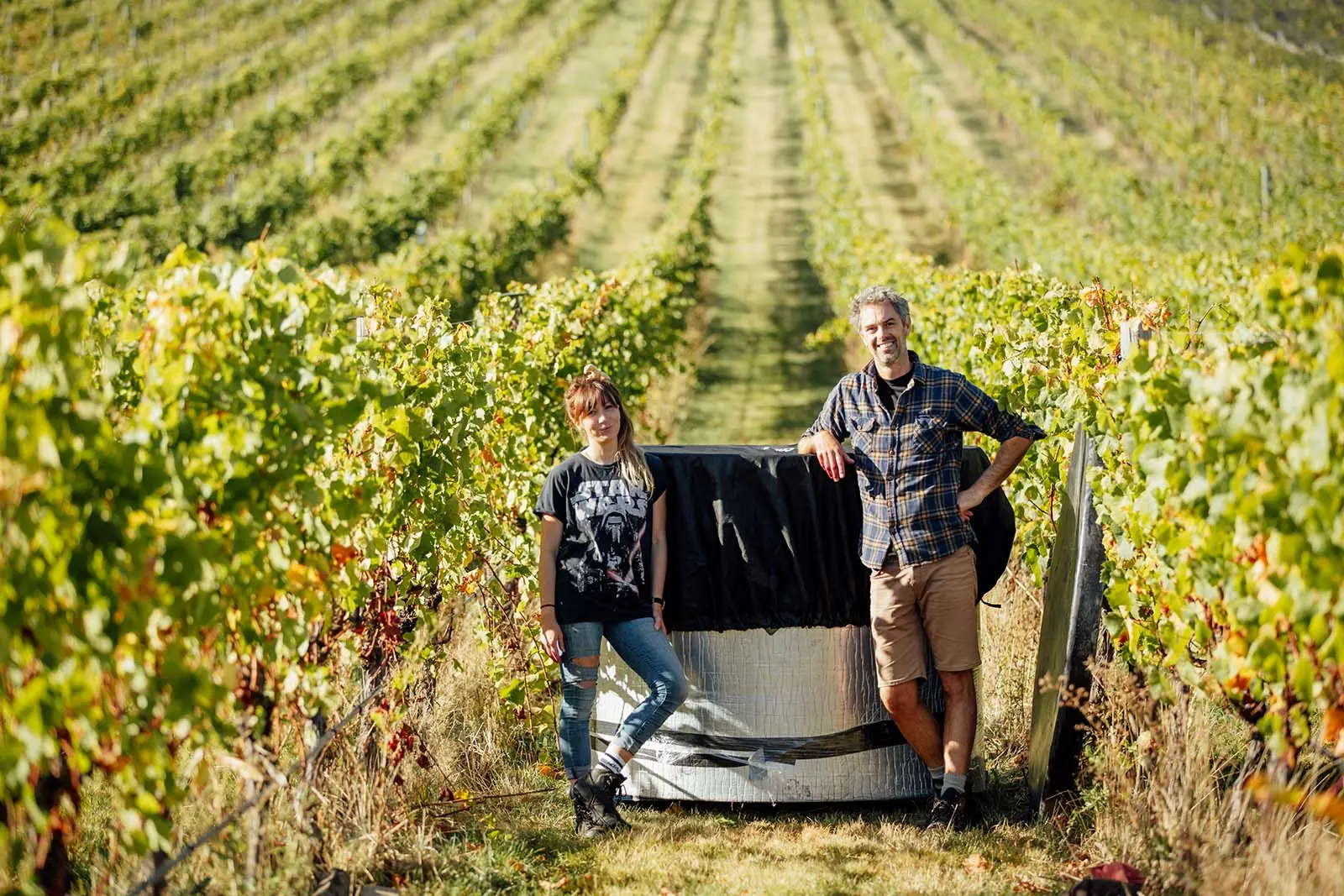 Greystone Wines