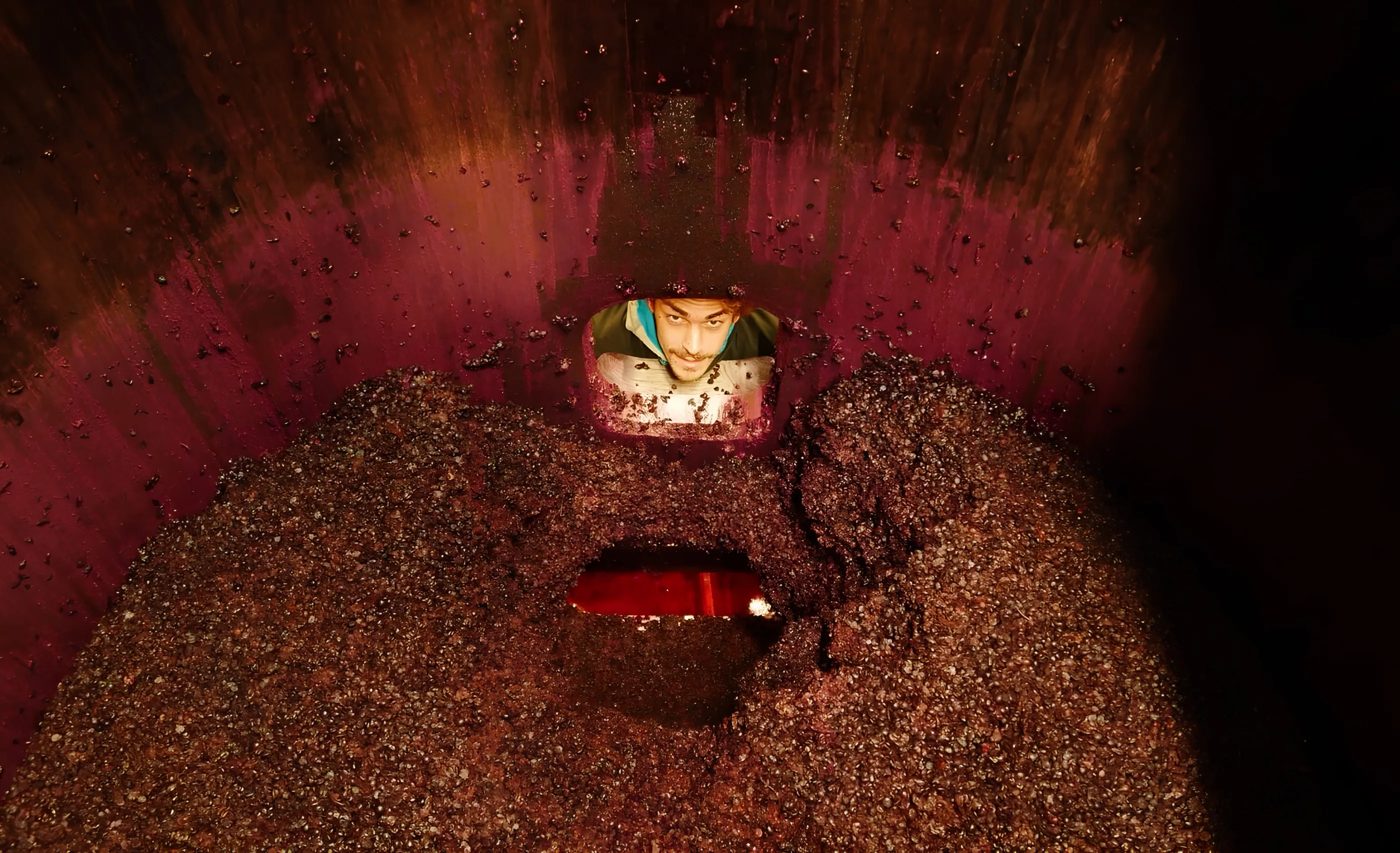 Looking down into a wine tank at a thick cap of crushed grape skins, with a man's face at a small hatch in the wall