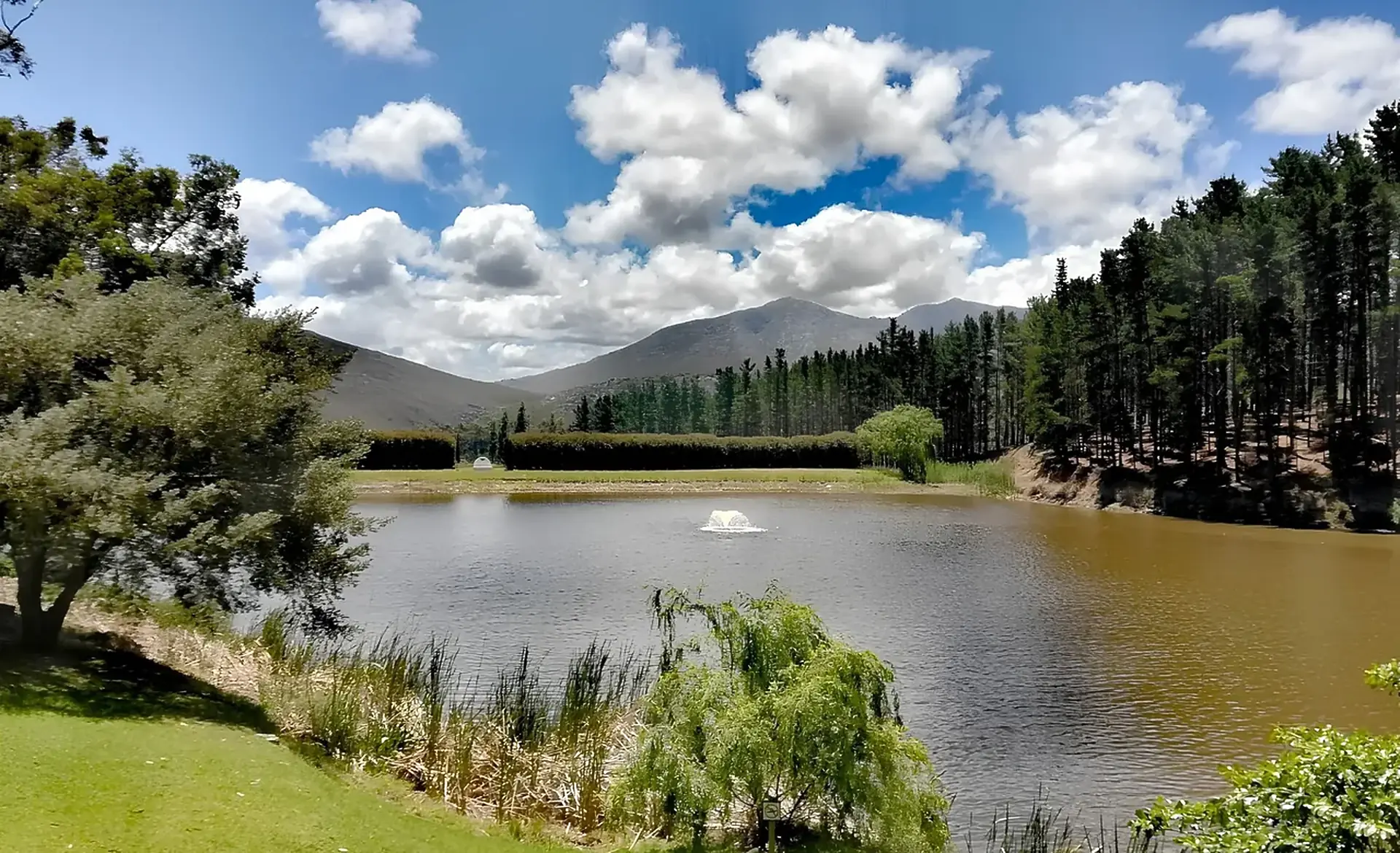 A pond with a small fountain at its centre, a hedge and pine plantation on the far bank, and mountains beneath white cloud