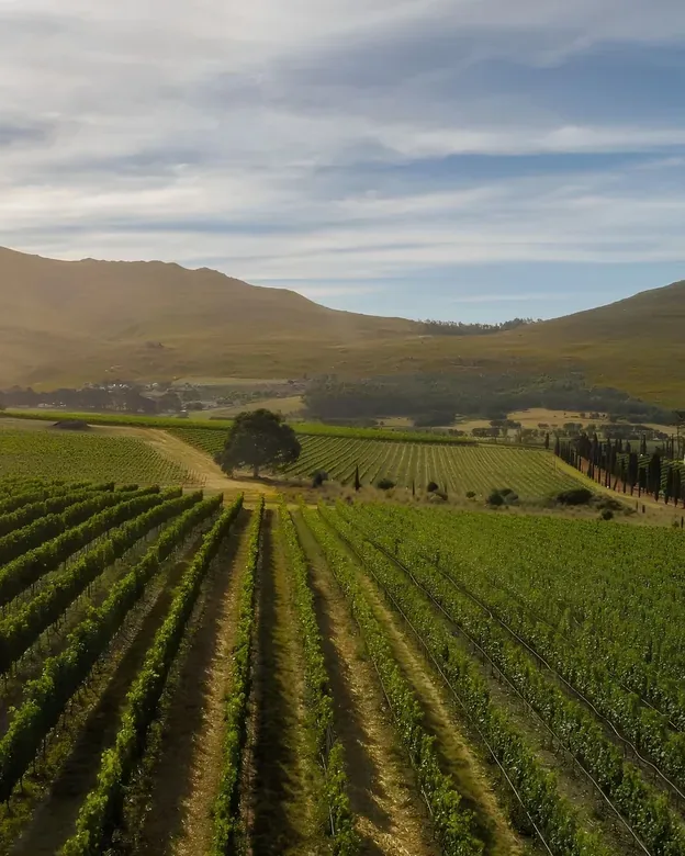 Hamilton Russell Vineyards &mdash; verified Wine producer