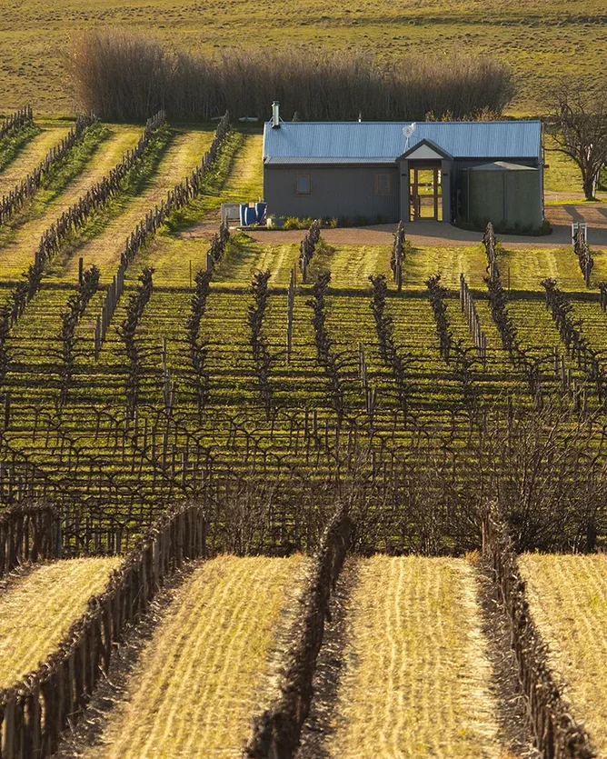 Hayes Family Wines &mdash; verified Wine producer