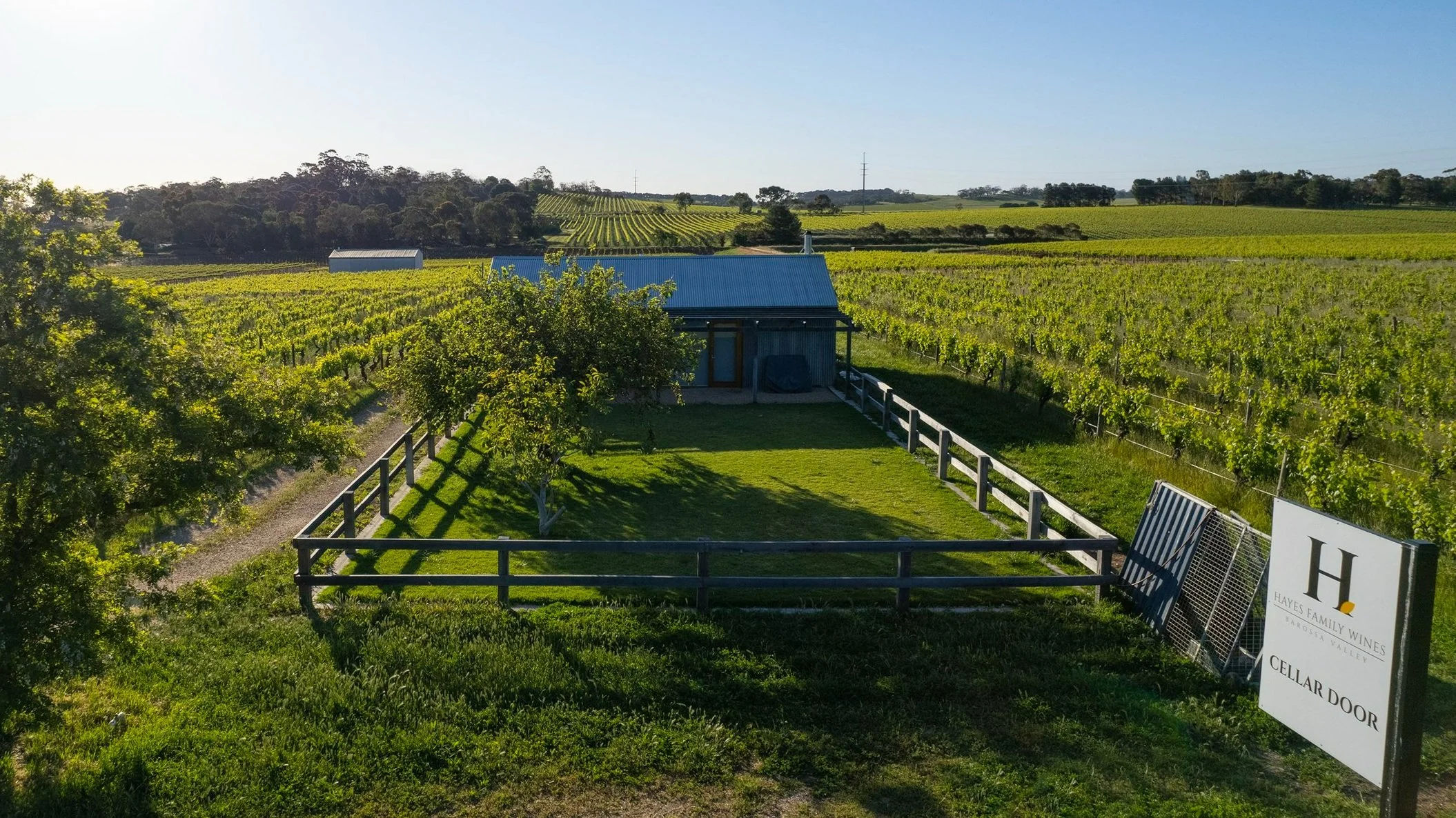Aerial view of a small cellar door building with a blue-grey roof among green vines, with a Hayes Family Wines sign at right