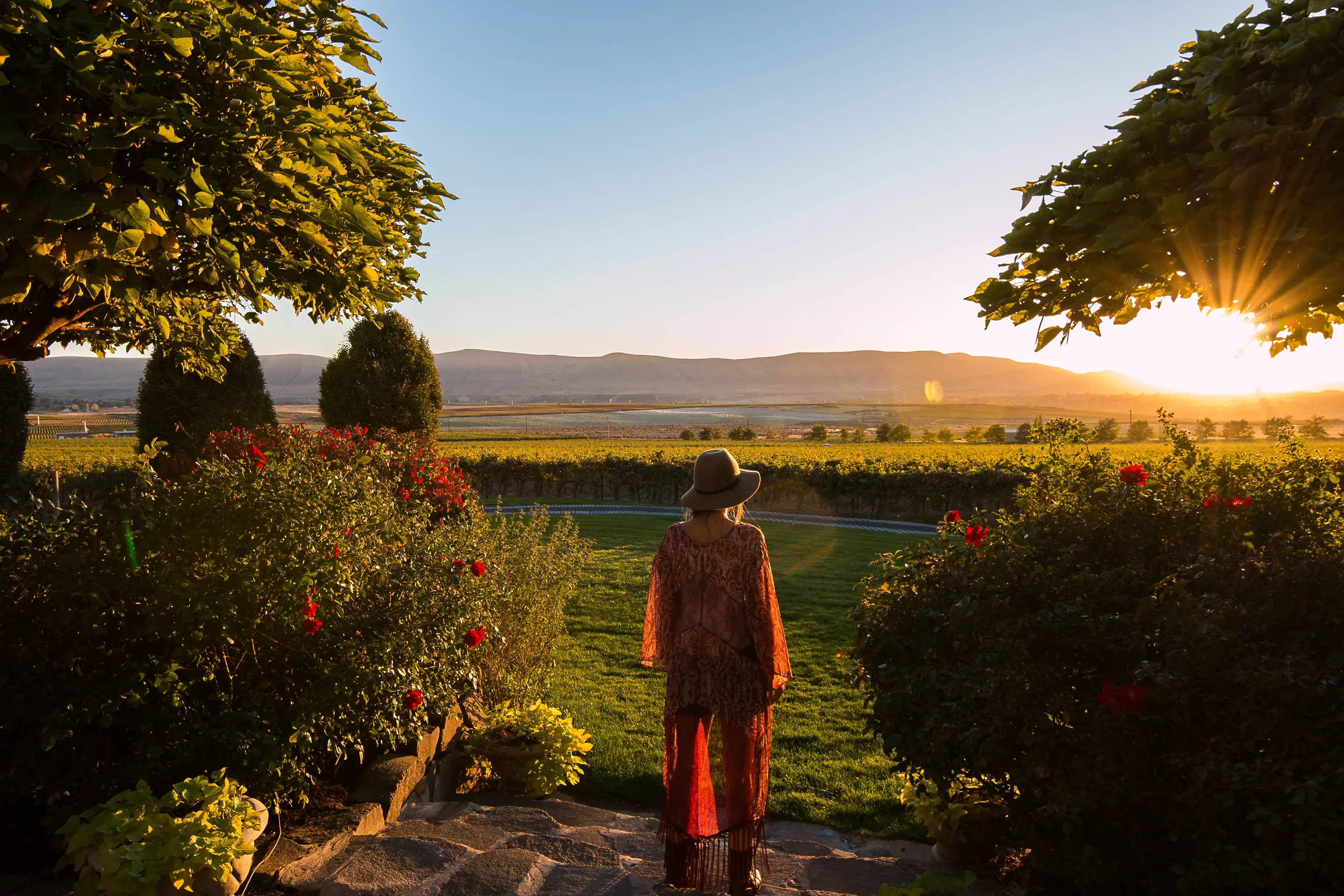 A woman in a hat, seen from behind in the Hedges Family Estate garden at sunset, looking over vineyards toward distant hills