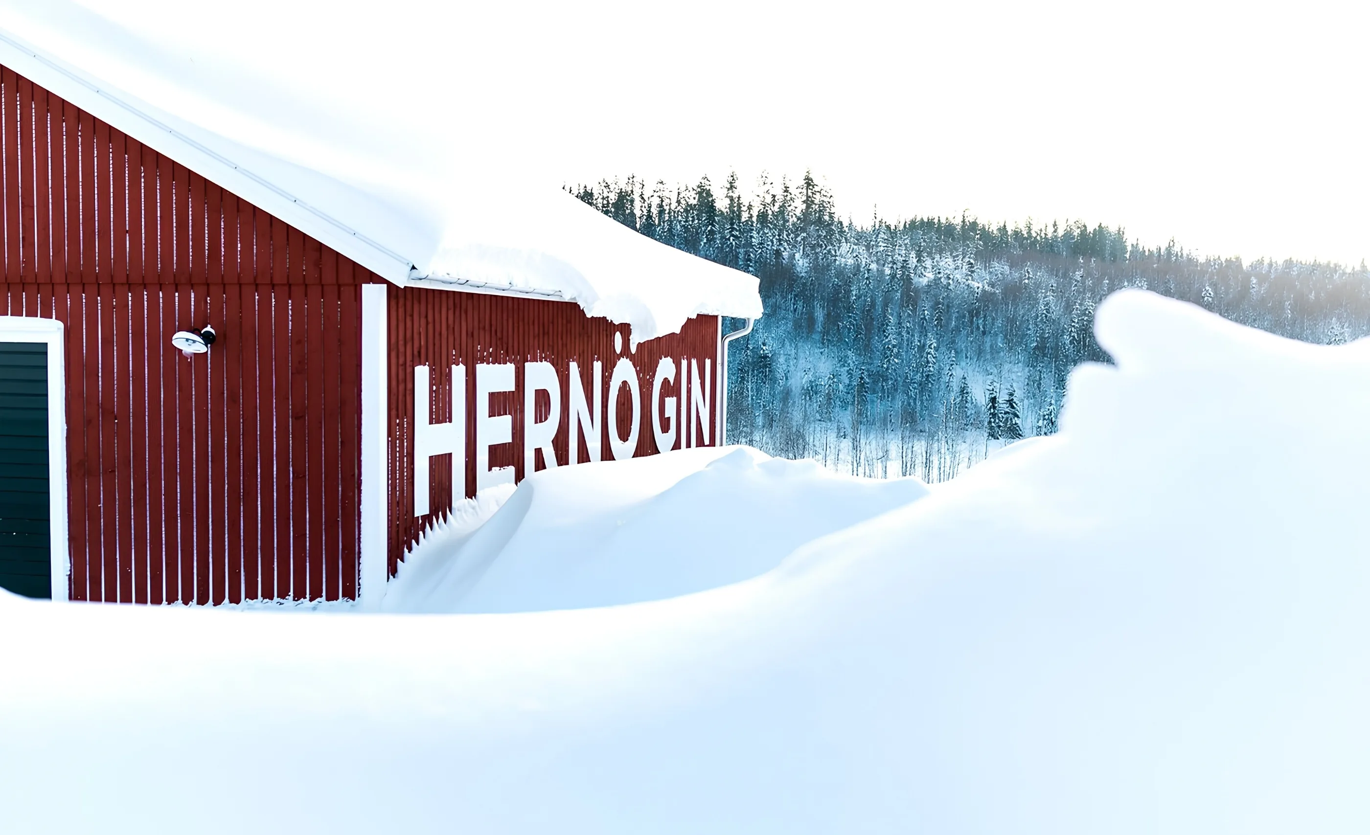 A red timber building with Hernö Gin in white letters, half buried in deep snow beside a snow-covered conifer forest