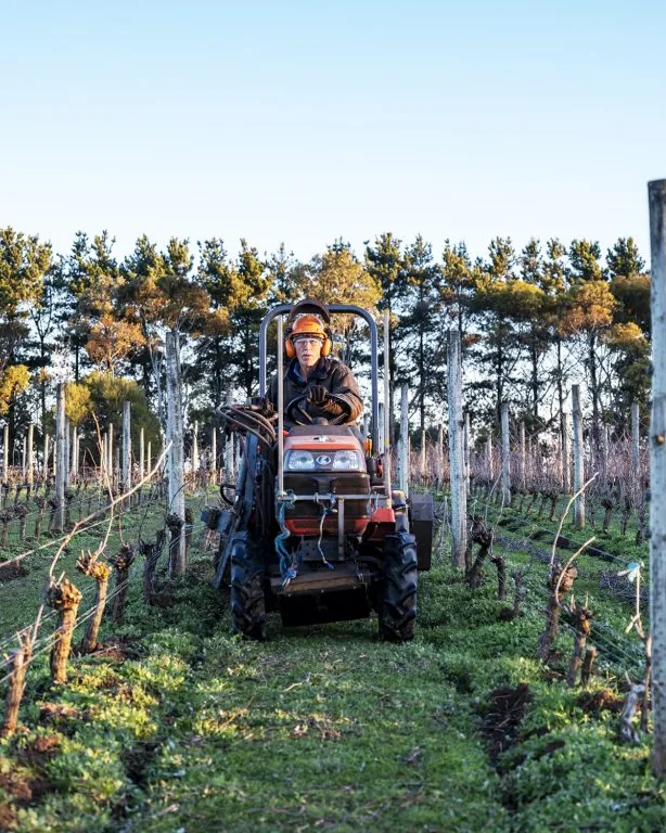 Hochkirch Wines &mdash; verified Wine producer