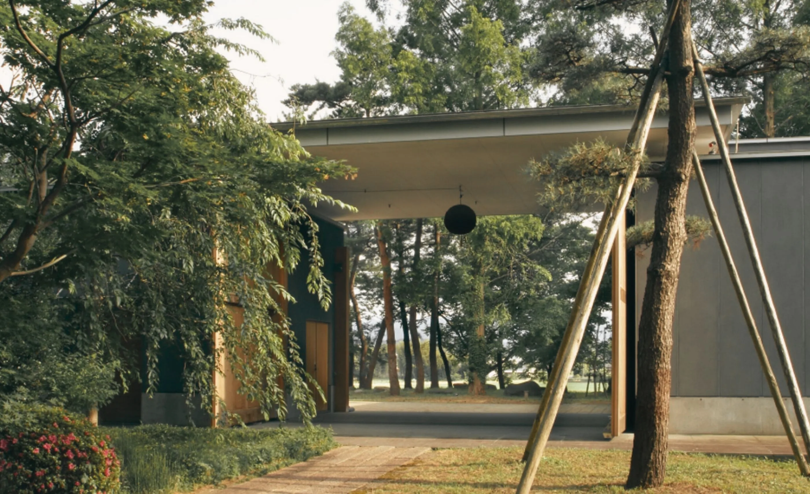 A low modern building with a wide overhanging roof, a hanging black sphere and a pine tree held up by wooden poles, among trees