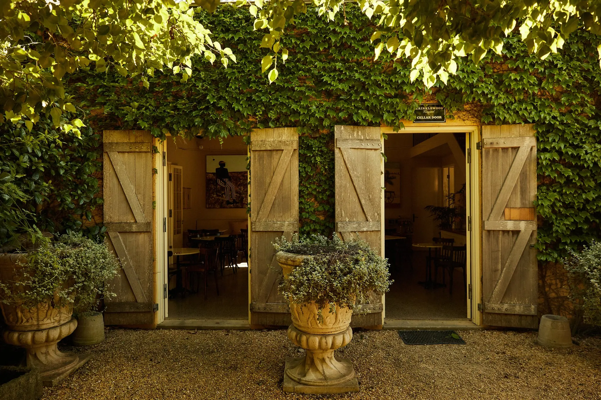 Ivy-covered cellar door entrance with open timber doors and stone urns, under a Krinklewood Vineyard sign