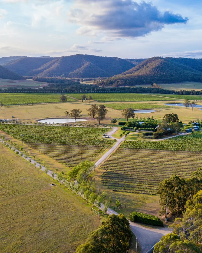 Krinklewood Estate &mdash; verified Wine producer