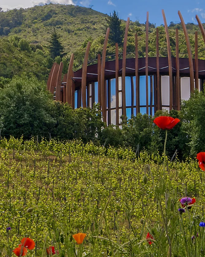 Lapostolle &mdash; verified Wine producer