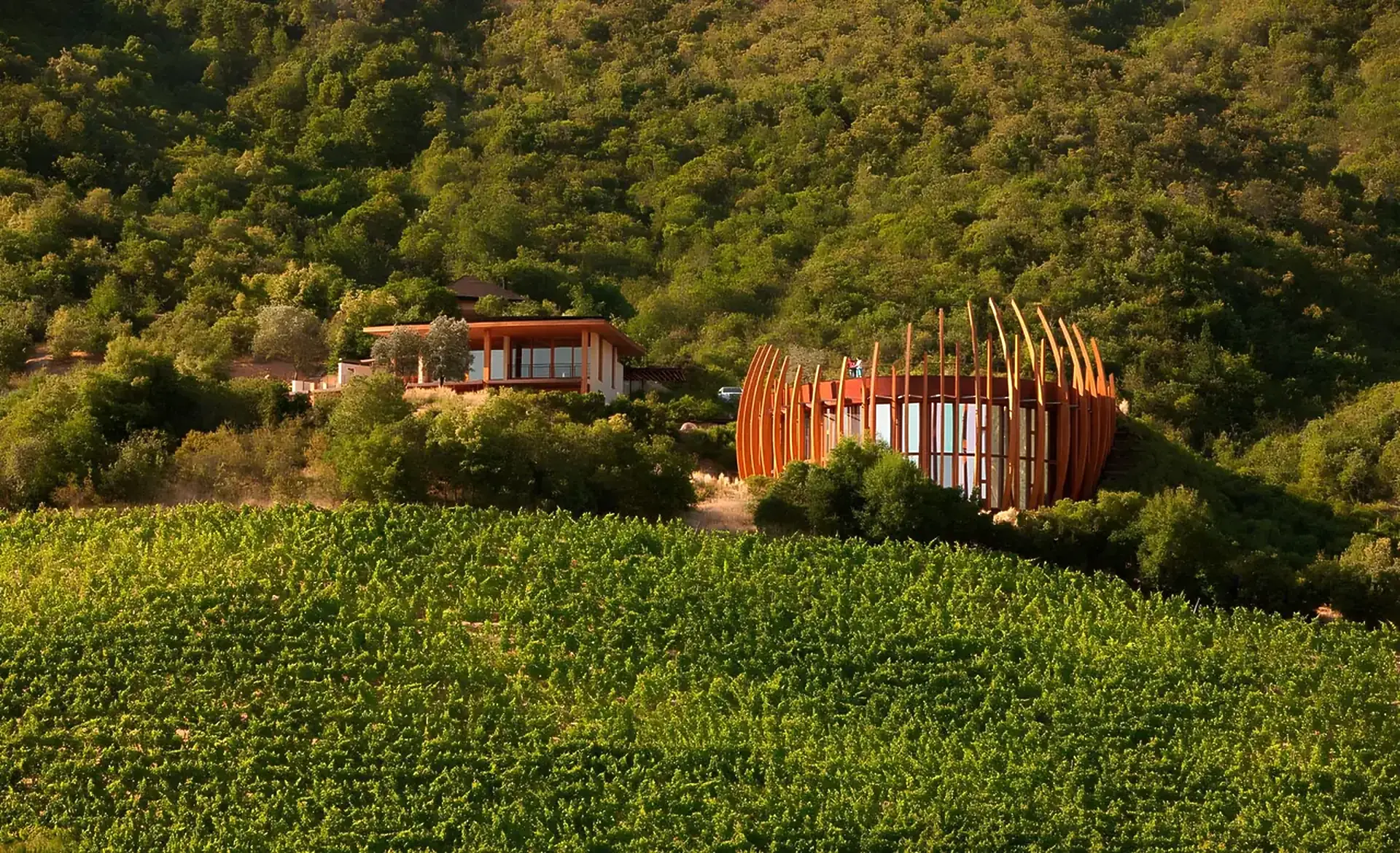 A round building ringed by curved timber ribs, beside a low house, on a forested hillside above a block of vines