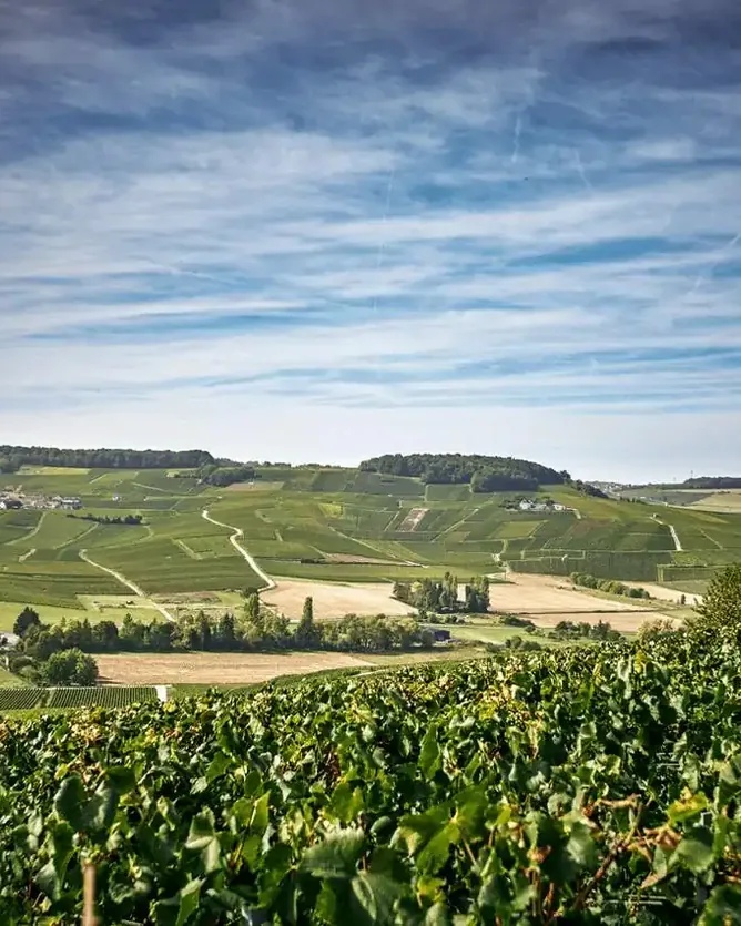 Leclerc Briant