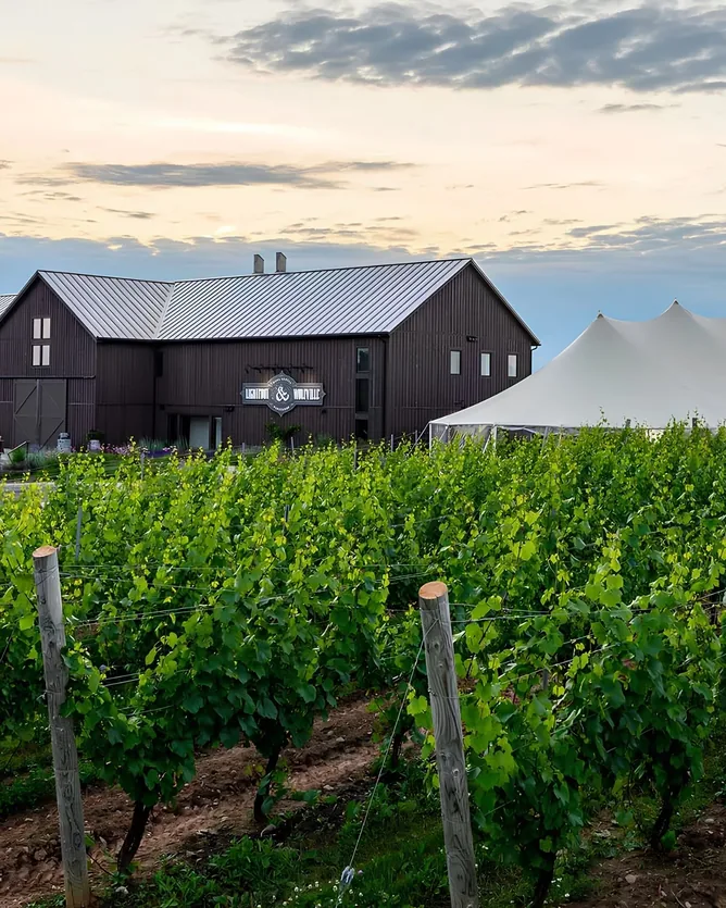 Lightfoot & Wolfville Vineyards &mdash; verified Wine producer