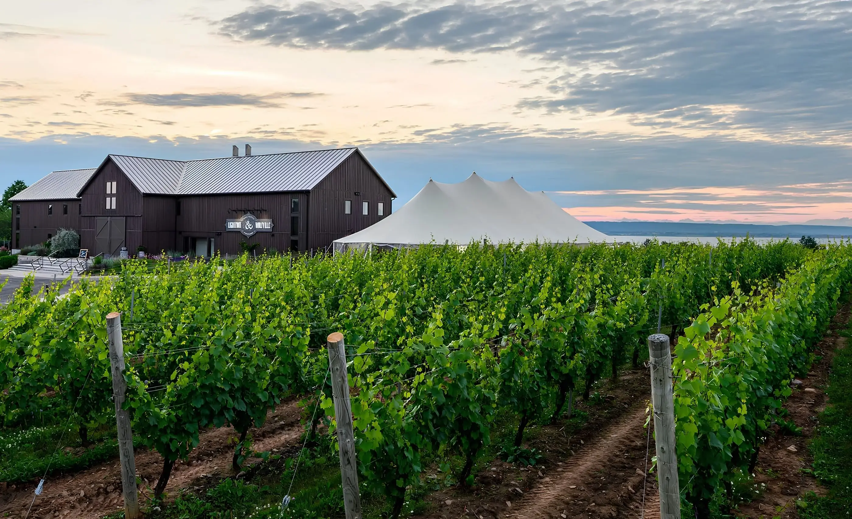 A dark timber winery building with a Lightfoot & Wolfville sign and a white event tent beyond green vine rows at dusk