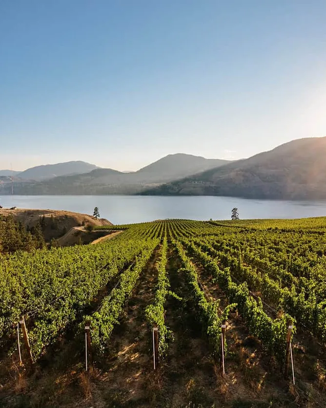 Little Farm Winery &mdash; verified Wine producer