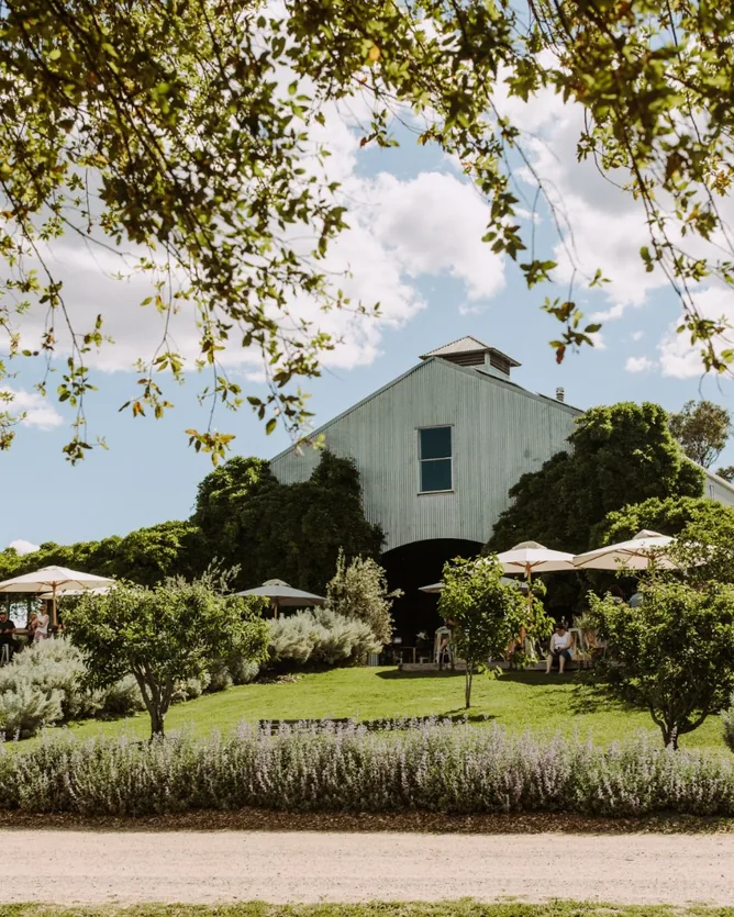 Lowe Family Wine Co &mdash; verified Wine producer
