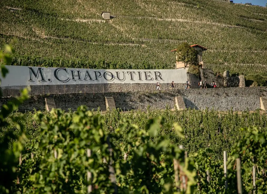 M. Chapoutier