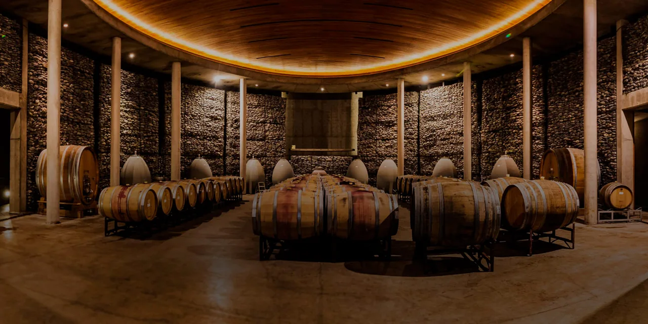 Matetic Vineyards
