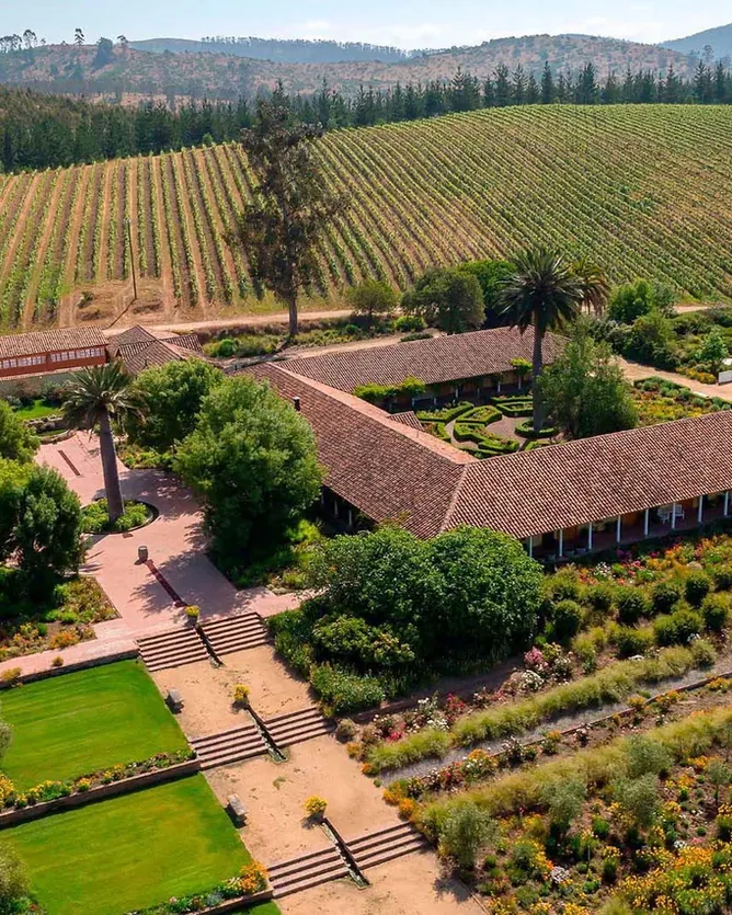 Matetic Vineyards