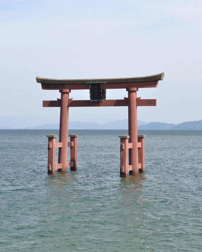 Matsu no Tsukasa (Matsuse Shuzo) &mdash; verified Organic Sake producer