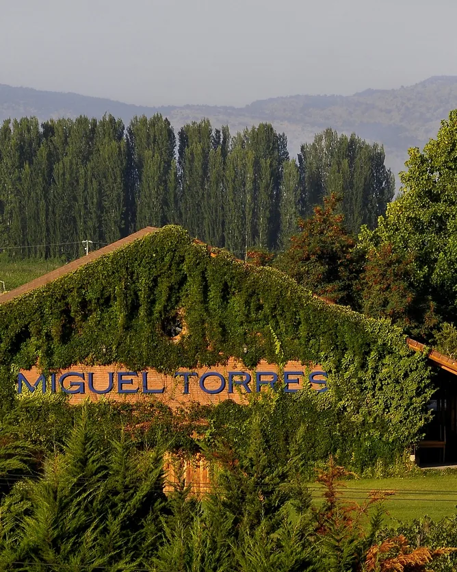 Miguel Torres Chile &mdash; verified Wine producer