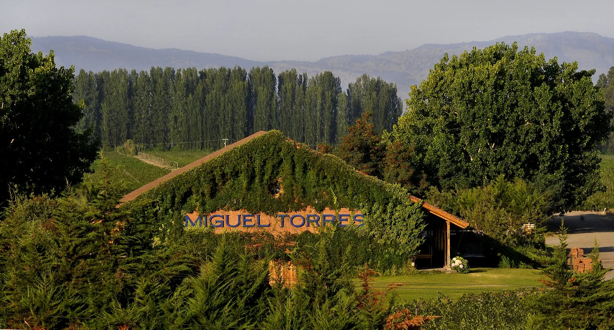 An ivy-covered building with Miguel Torres lettered on its wall, among tall poplars and trees below hazy mountains