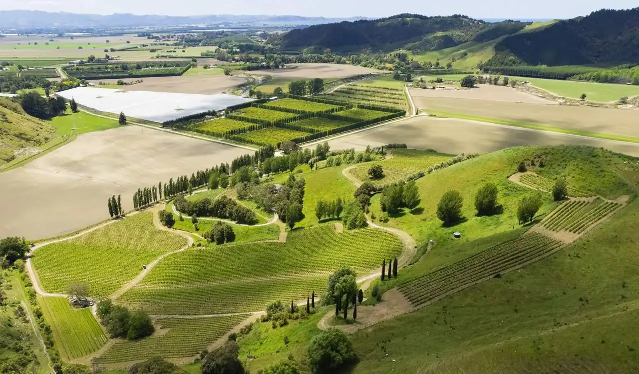 Millton Vineyards