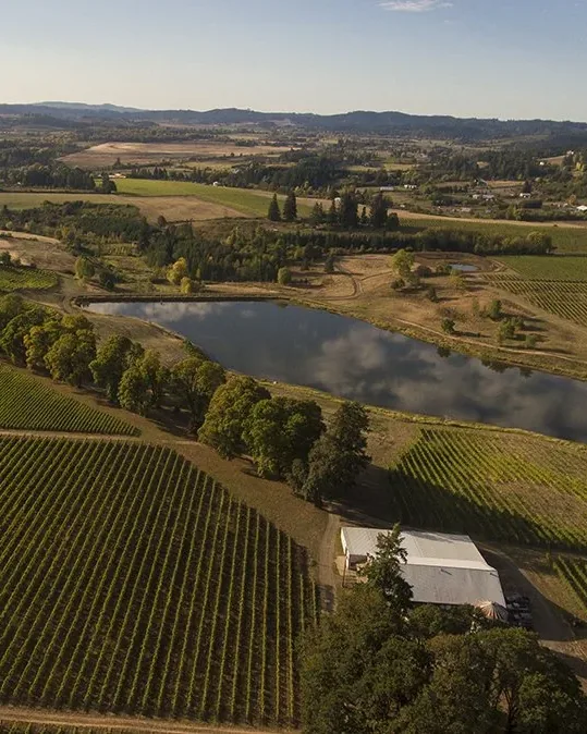 Montinore Estate &mdash; verified Wine producer
