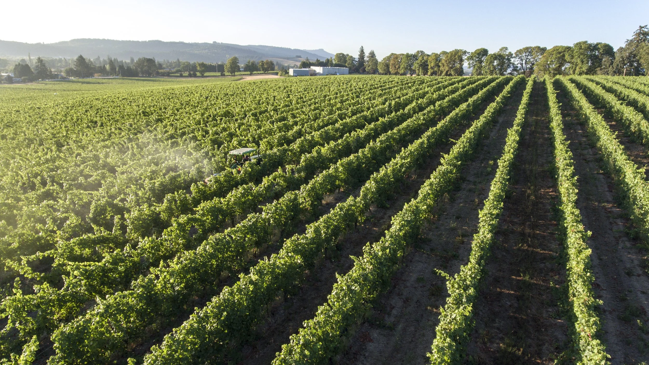 Aerial view along vine rows with a small tractor, toward white winery buildings and trees, at Montinore Estate