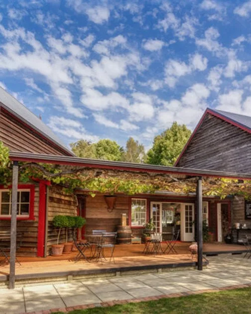 Neudorf Vineyards