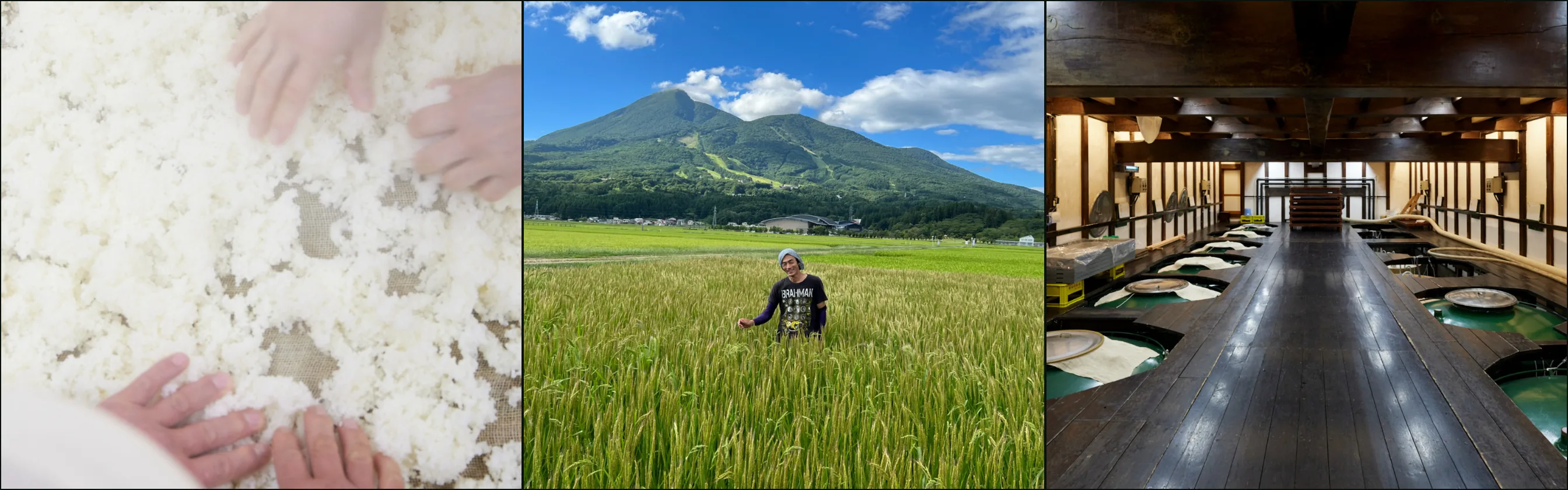 Three photographs at Niida Honke: hands working rice on cloth, a man in a rice paddy below a mountain, a timber-beamed hall