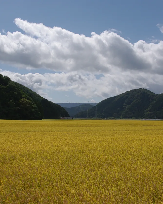 Niida Honke &mdash; verified Organic Sake producer