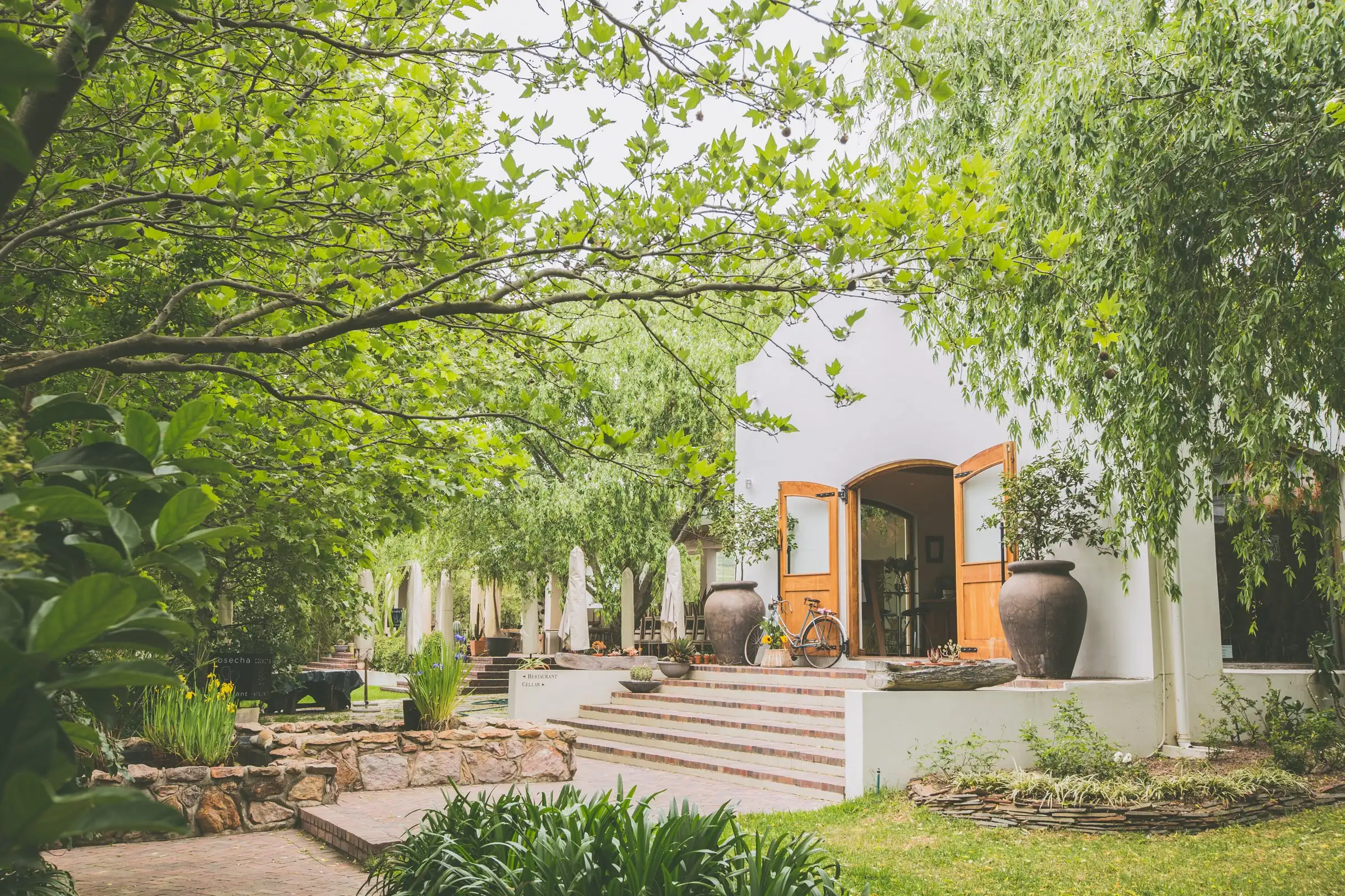 White building with arched wooden doors, a bicycle and clay pots on the steps, under plane trees at Noble Hill Wine Estate
