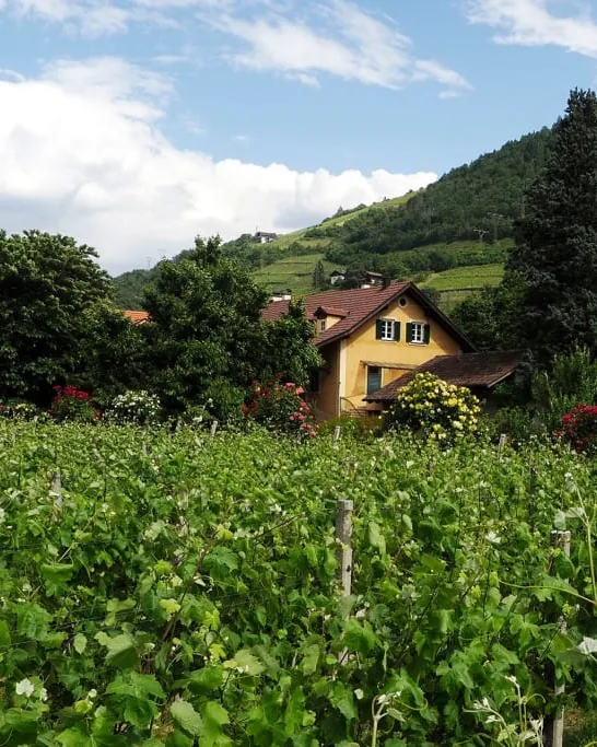 Nusserhof &mdash; verified Wine producer
