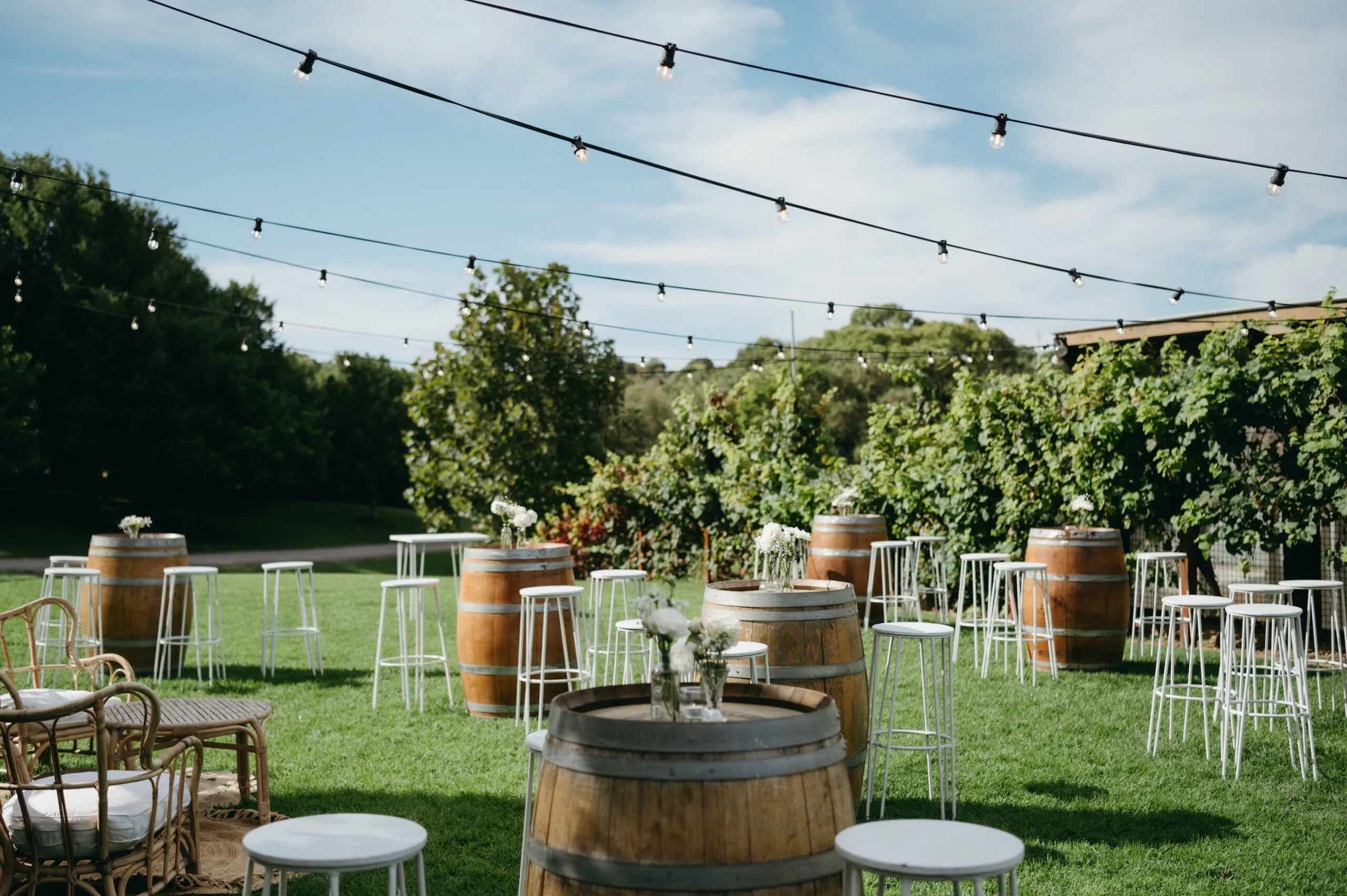 Paxton Wines