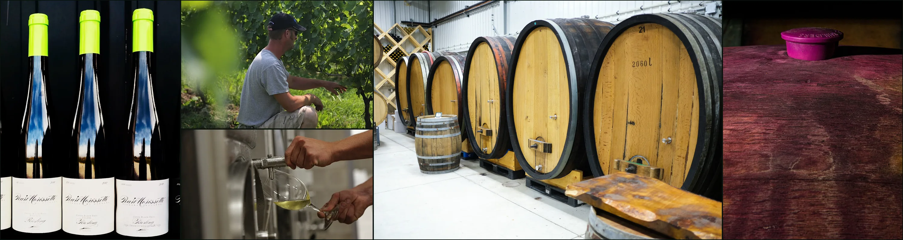 Five photographs at Pearl Morissette: Riesling bottles, a man among vines, white wine drawn from a tank, oak foudres, a stained barrel top