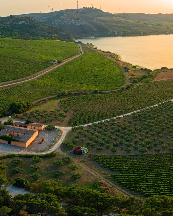 Planeta &mdash; verified Wine producer