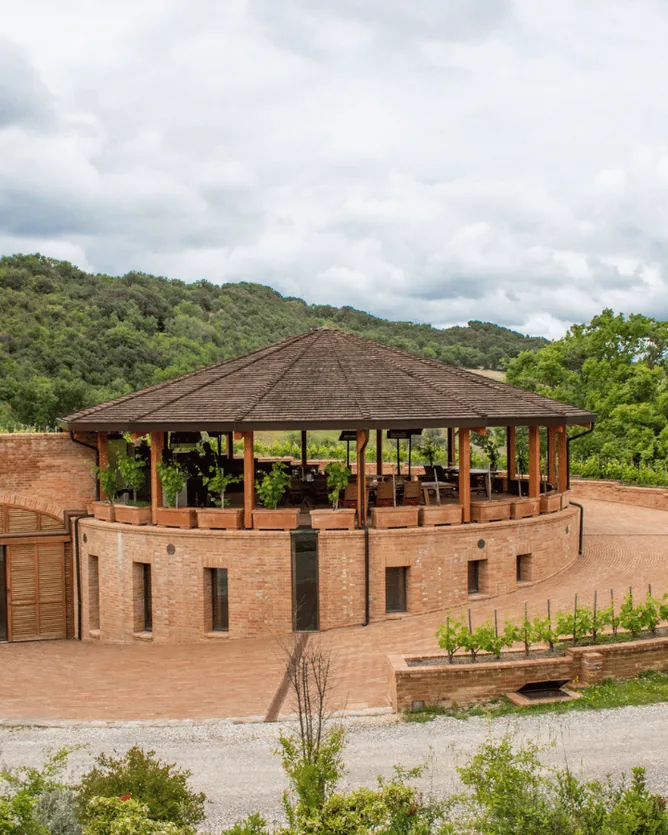 Podere Le Ripi &mdash; verified Wine producer