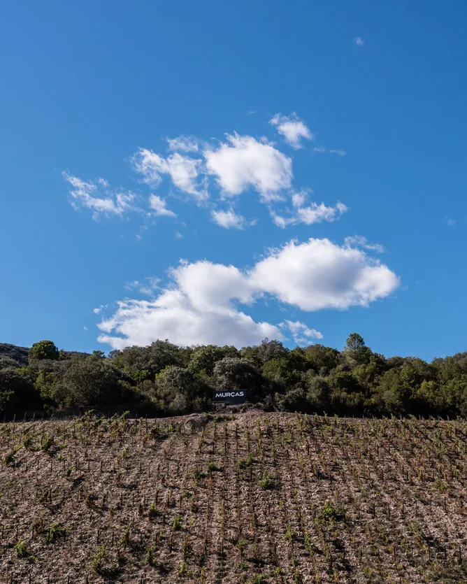 Quinta dos Murças &mdash; verified Wine producer