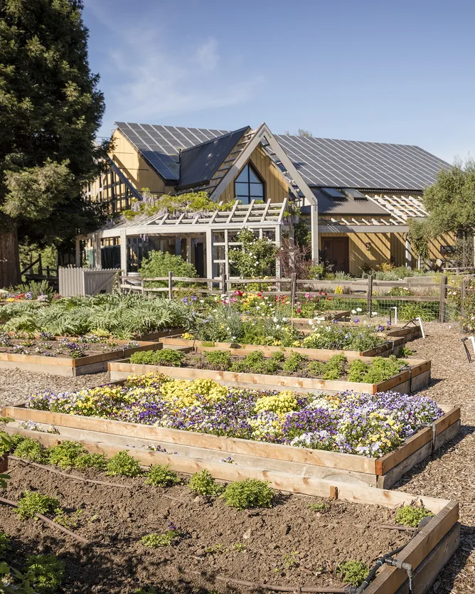 Quivira Vineyards &mdash; verified Wine producer