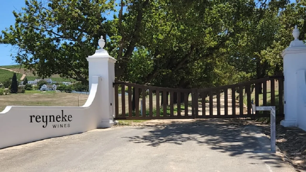Reyneke Wines