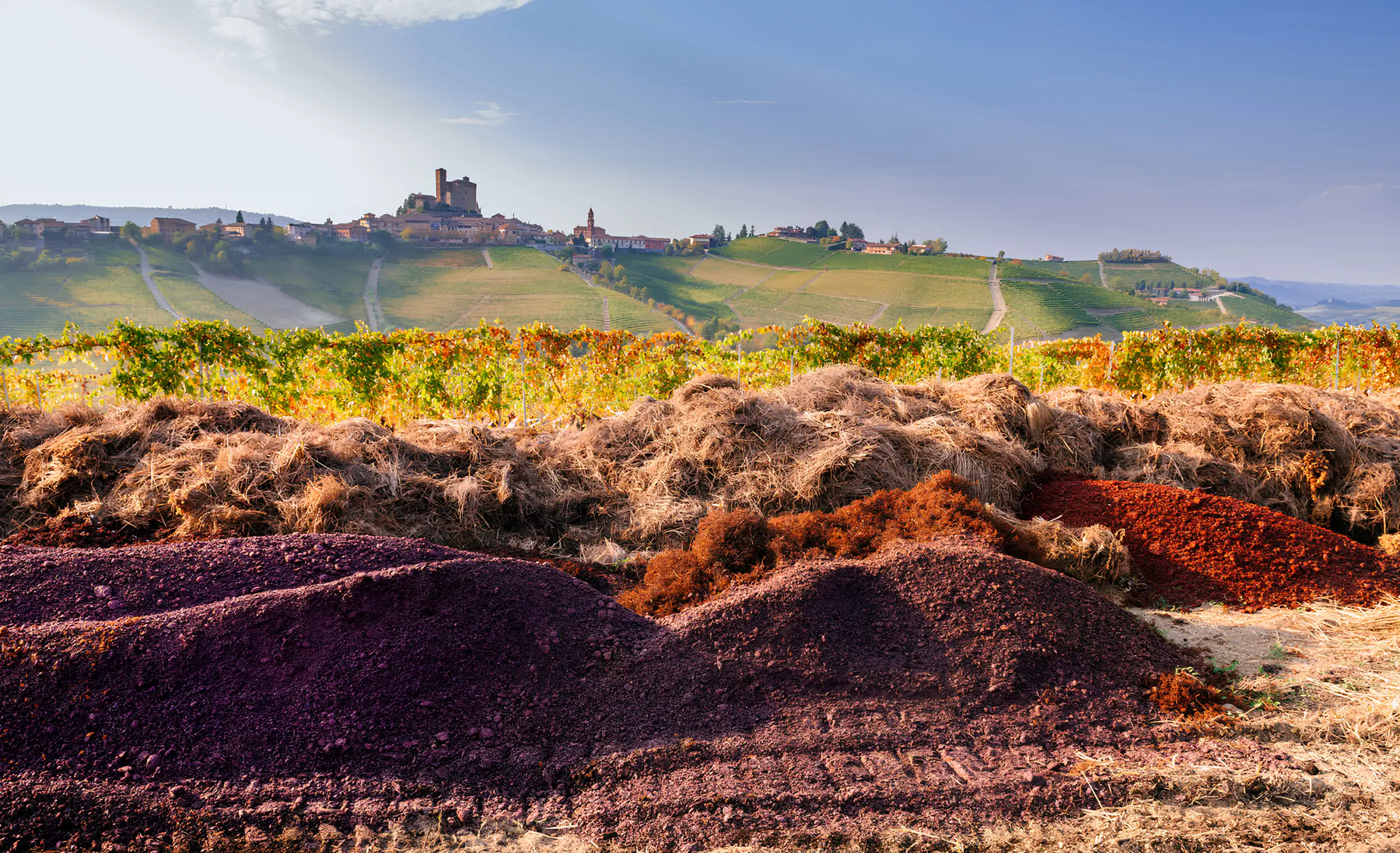 Compost heaps in front of autumn vineyards, with the castle and village of Serralunga d'Alba on the ridge