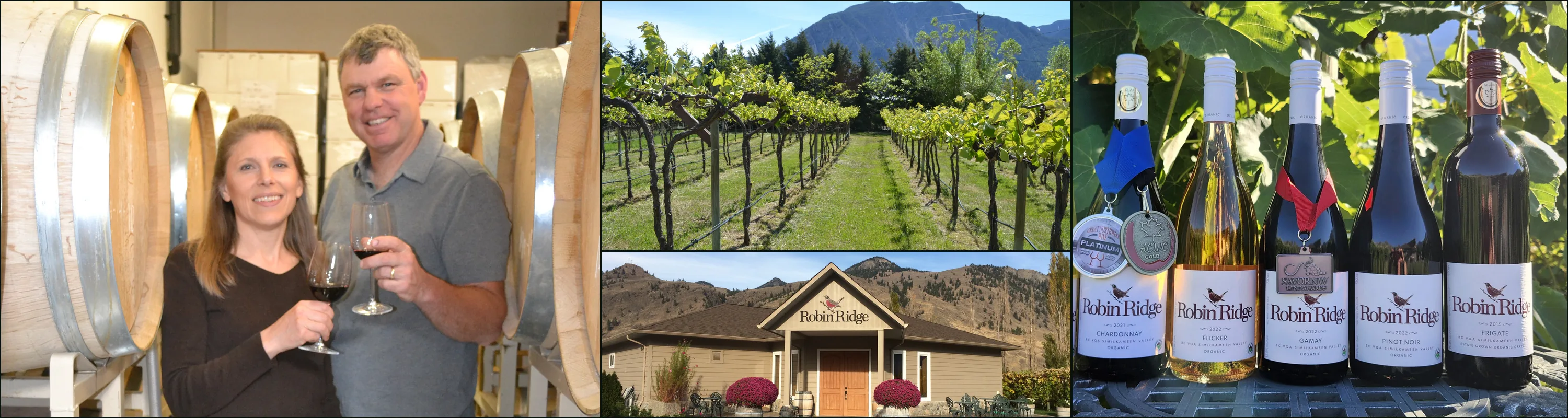 Four photographs: two people holding red wine among oak barrels, green vine rows under a mountain, the Robin Ridge tasting room, five Robin Ridge bottles