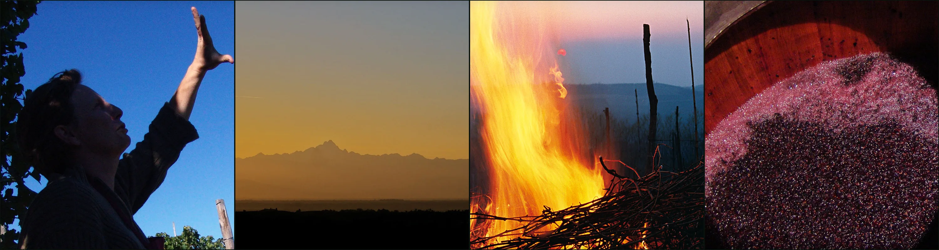 Four photographs at San Fereolo: a woman in the vineyard, Alps at sunset, burning vine prunings at dusk, must in a wooden vat