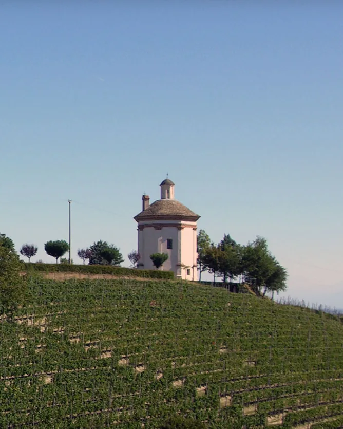 San Fereolo &mdash; verified Wine producer