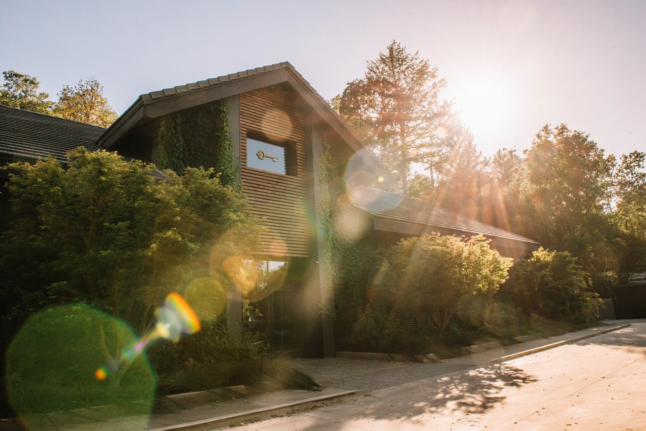 Ivy-clad timber winery building with a key emblem in an upper window, seen from the drive through trees in sun flare at Sinegal Estate