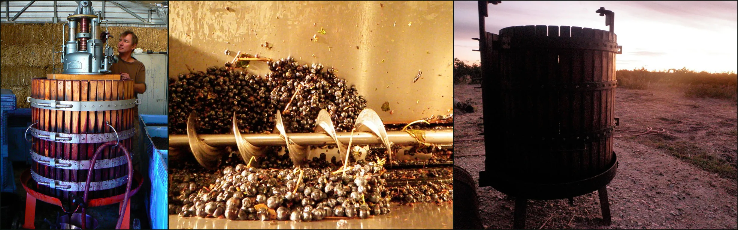 Three photographs at Smallfry Wines: a man at a wooden basket press, dark grapes in a crusher-destemmer, a basket press at dusk