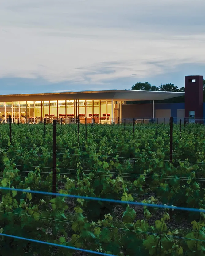 Southbrook Vineyards &mdash; verified Wine producer