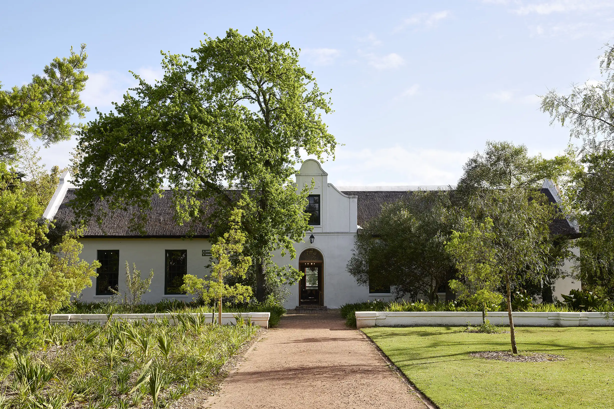 A whitewashed, thatched Cape Dutch building with a central gable and arched door behind a large oak, with a gravel path and lawn