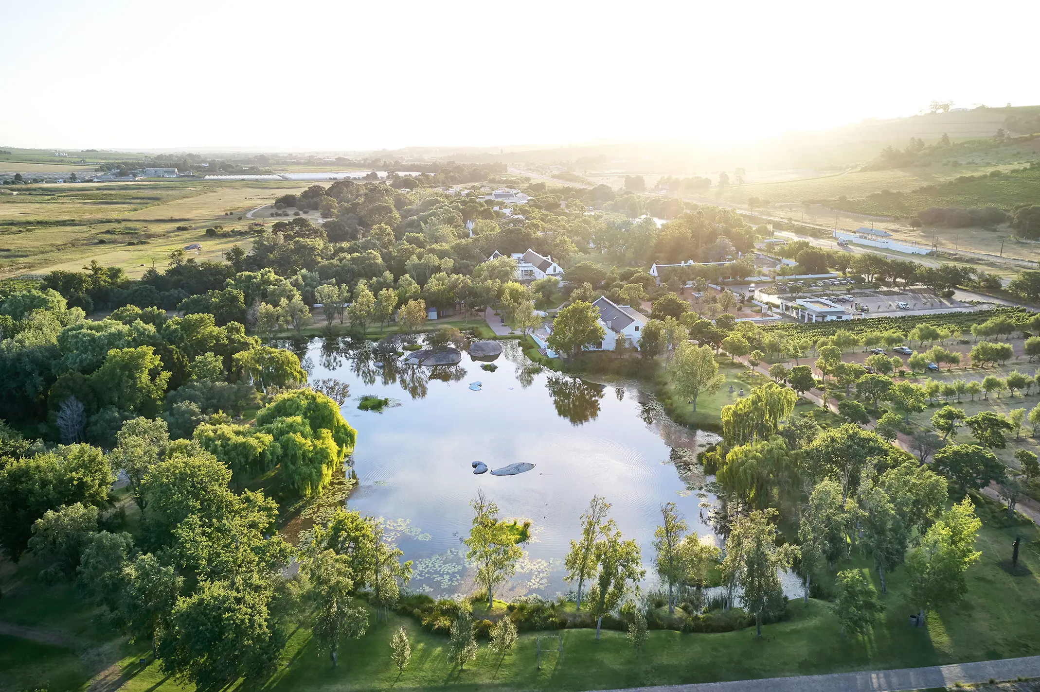 Aerial view of a lake among willows and other trees, with white farm buildings beside it, in low sun at Spier